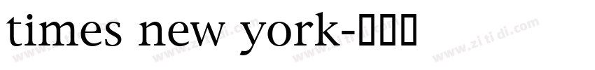times new york字体转换